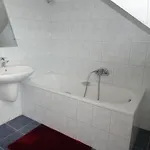 Halasi Szallashely *